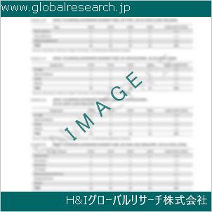 グローバルリサーチ調査資料のイメージ